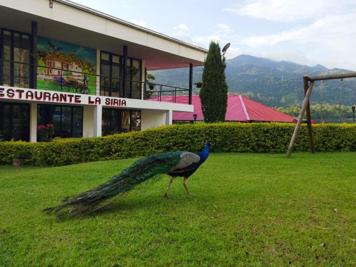 Hotel & Restaurante Campestre La Siria San Juan de Rioseco Exterior photo